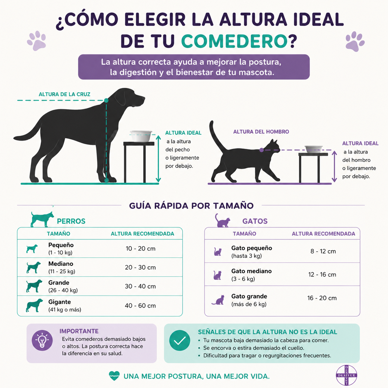 Comedero Elevado para Perros y Gatos