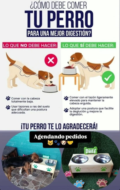 Comedero Elevado para Perros y Gatos